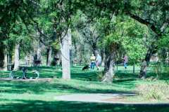 2311104-Potluck-Fox-Hunt1-Web