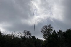 IMG_6893