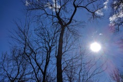 IMG_20170128_130129