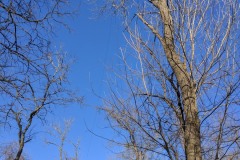 IMG_20170128_161956