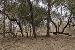 IMG_20200125_144554