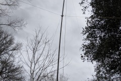 IMG_20200125_144601