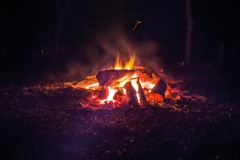 IMG_20200125_224311