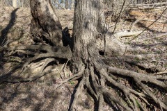 IMG_20200126_135825