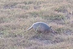 0555402E-1E25-47C3-970E-5E5C409A1215