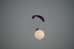 BE597997-8C67-4903-A0E5-AFB585E36478